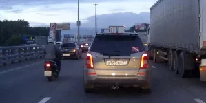 Коллега.webp