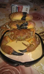 IMAG1806.webp