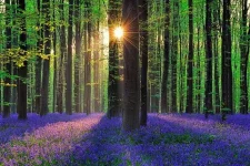 01.webp
