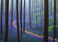 02.webp