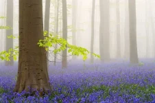 03.webp