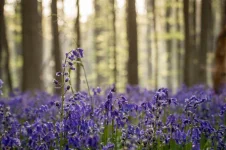 05.webp