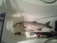 20140629_071927.webp