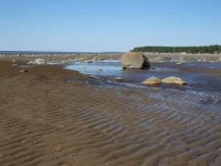 DSCF5038.webp