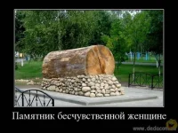 Image00016-Р.webp