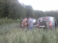 20140719_215019.webp