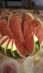 IMAG2028.webp