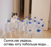106.webp