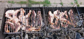 IMG_1819.webp