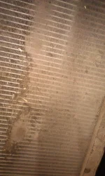 IMAG2406.webp