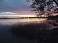 DSCF2481.webp