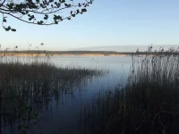 DSCF2472.webp