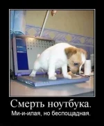getImage (11)-Р.webp