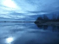 P1320338.webp