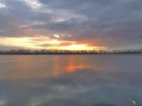 P1320345.webp