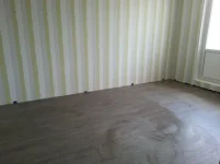 сам ремонт.webp