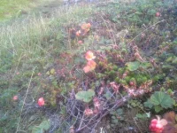 20140824_182159.webp
