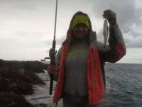 20140825_153841.webp