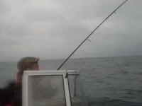 20140827_202128.webp