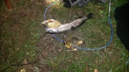20140901_001703.webp