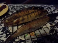 1409761000669.webp