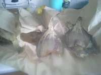 20140904_172823.webp