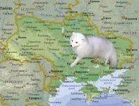 песец на Украине.webp