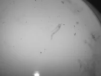 IMG-20140913-WA0006.webp