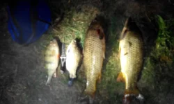 IMG_20140919_015004.webp