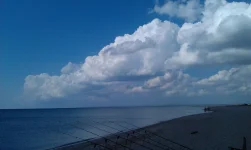 IMAG2694.webp