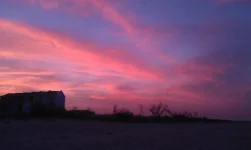IMAG2590.webp