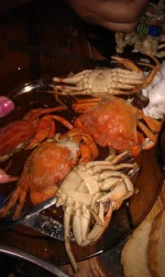 IMAG2518.webp