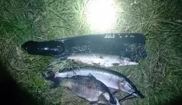 IMG-20140929-WA0002.webp