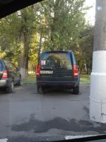 фотография (10).webp