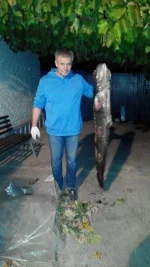 image-864de9ef4c3141cb27f21f6211a8d16f11814979178825c714b139f4e27e6785-V.webp