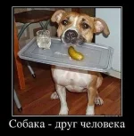 Друг03-Д.webp