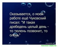 image-4f561828085de966e790eced5f2595ee074190f6a1b701a91b0c611bebefbf9d-V.webp