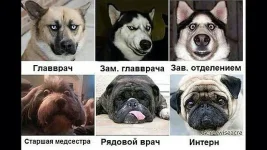 image-c1564620399d9955b8058b80332868e77796a7cb3b36273391a2d15b2acbebe4-V.webp