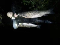 20141015_001251.webp