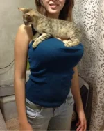 4069252-Д.webp