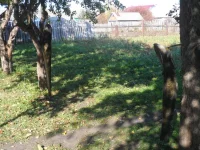 SAM_1408.webp
