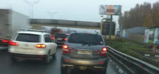 Петр.webp