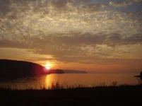 P4240046.webp