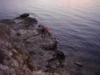 P4240091.webp