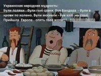 pic.webp