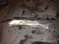 IMG-20141026-WA0002.webp