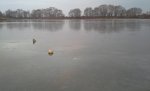 20141104_073427.jpg