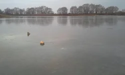20141104_073427.webp