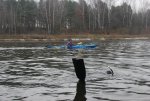 IMG_0242.JPG