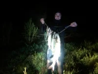 2014-09-09 23.51.20.webp